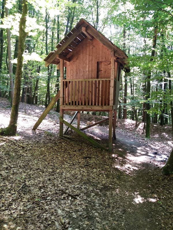 Waldlehrpfad Dorf Gleichenberg - Image 1