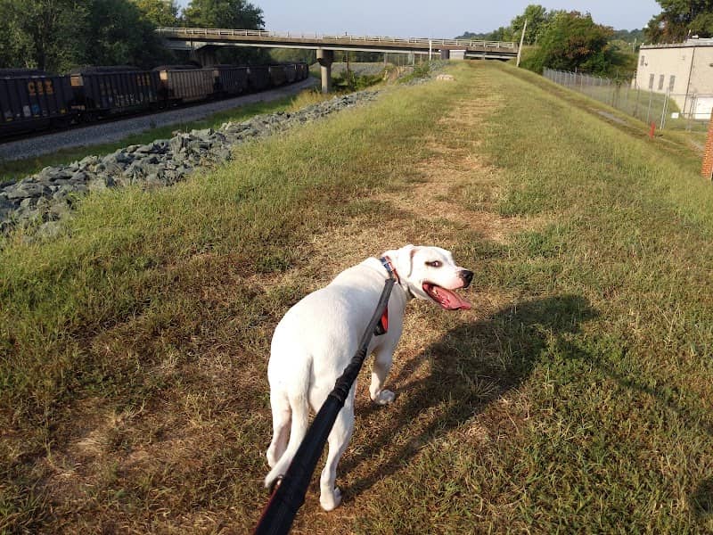 Levee Walk - Image 2