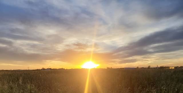 St. Bernard Farms and Corn Maze - Image 1