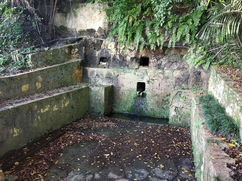Ganeko Hiijaagaa Spring - Image 3