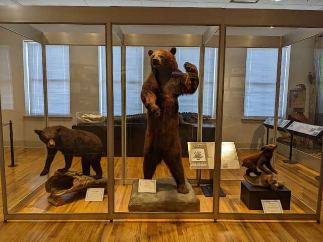 Horry County Museum - Image 3