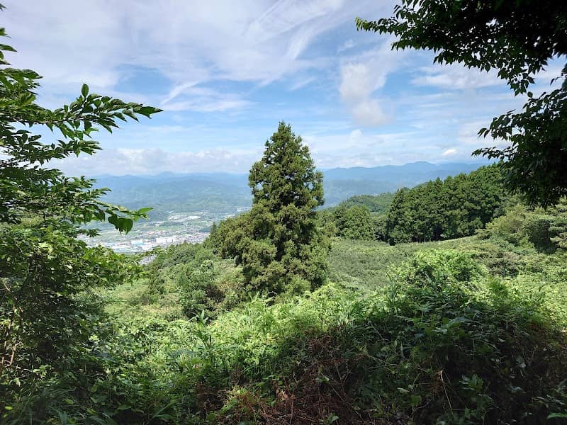 一本杉 - Image 1