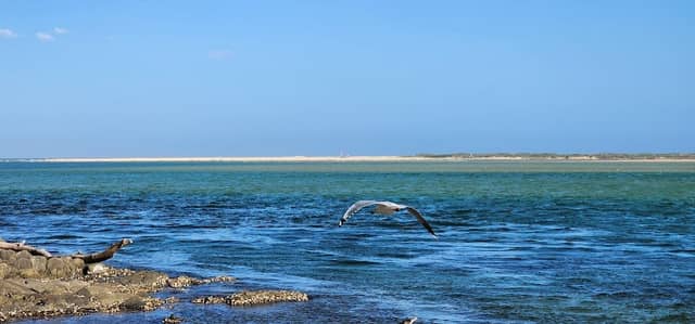 Batemans Marine Park - Image 3