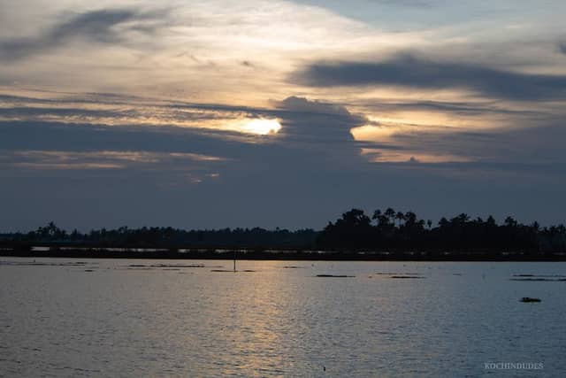 Devaswampadam Chera (Paddy Fields) - Image 2