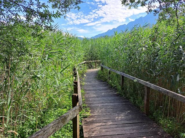 Naturweg Horw - Image 2