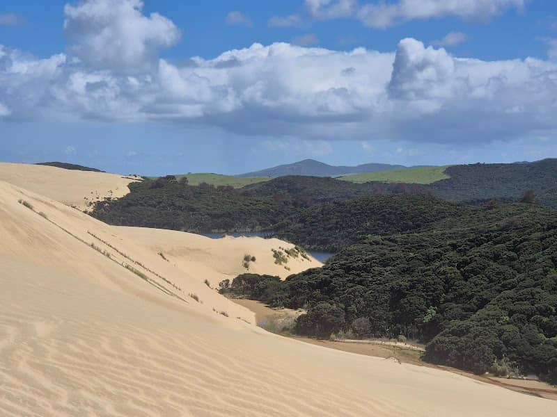 Giant Sand Dunes - Image 1