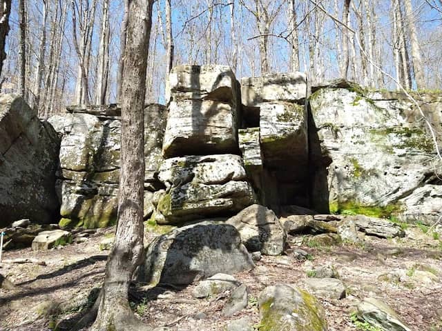 Allegany State Park - Red House Area - Image 3