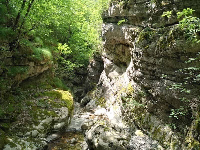 Gole di Alli - Image 1
