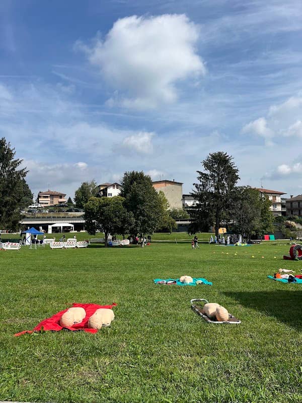 Parco Comunale del Castello Ariberto da Intimiano - Image 1