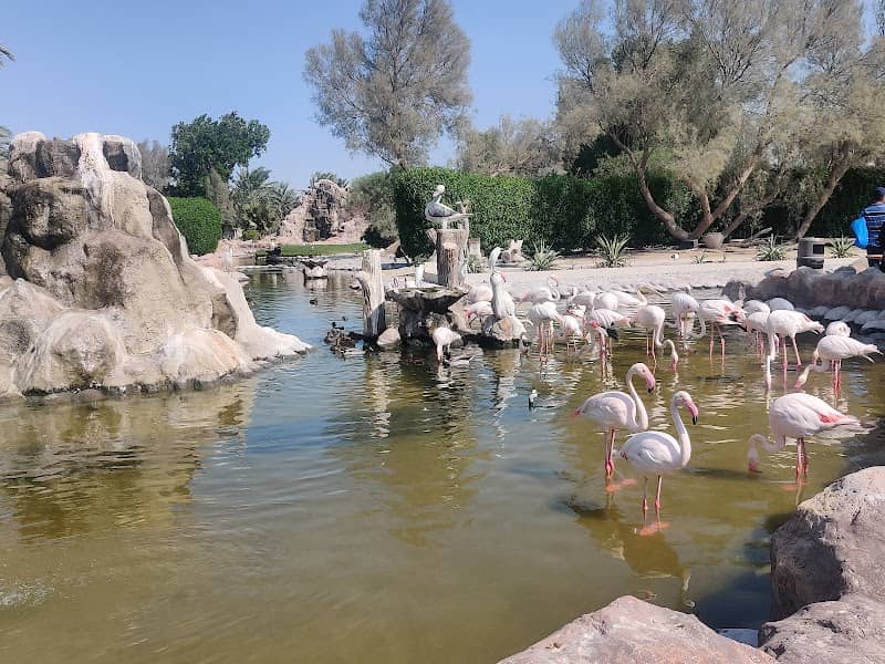 Al Areen wildlife park,Birds area - Image 2