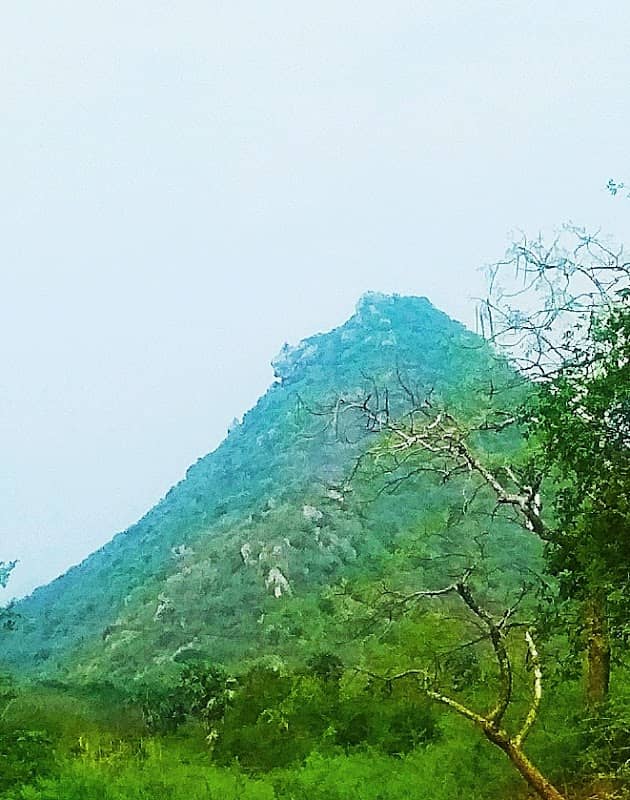 LION FACE ROCK சிங்கமுகப் பாறை - Image 1