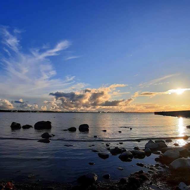 Dog beach - Image 2