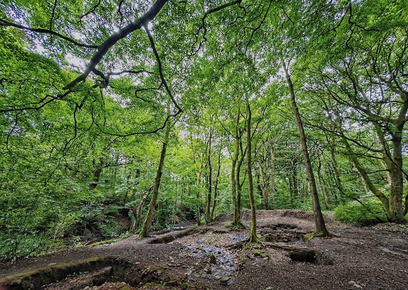 Lords Wood - Image 1