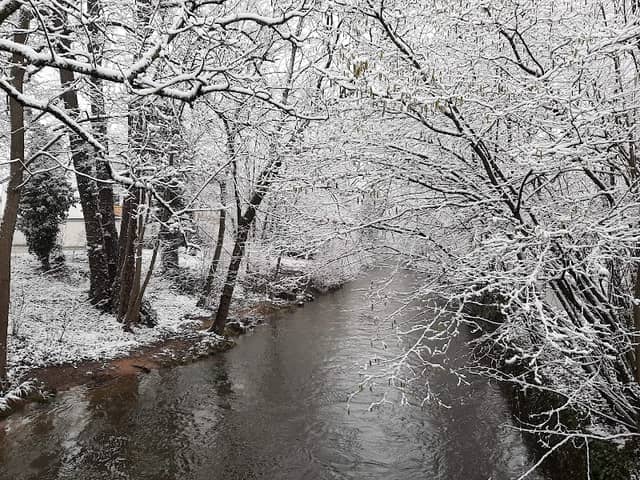 Wasen Park - Image 2