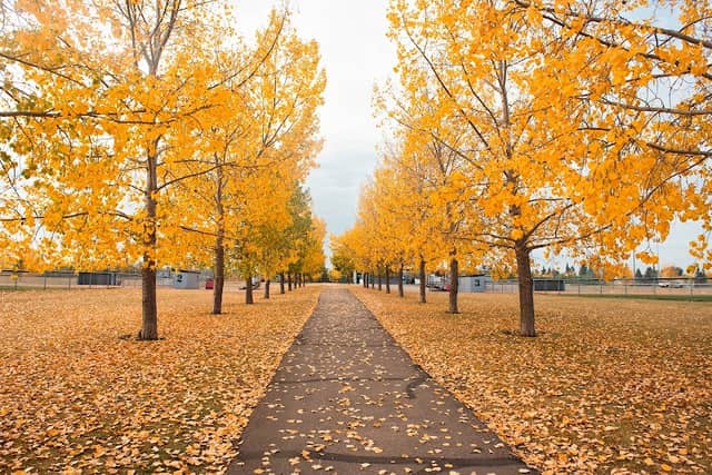 William F. Lede Park - Image 1