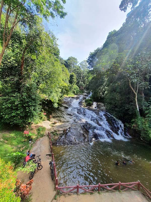 Lata Bayu - Image 2