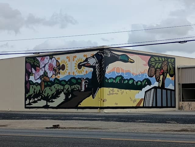 Sunsweet / Sunrise Dryers Mural - Image 1