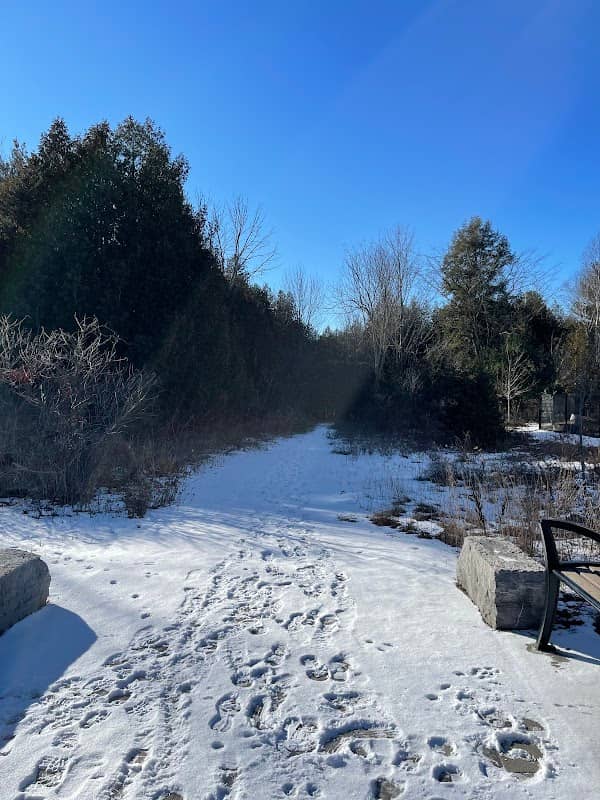 Duffin Heights Forest and River Trail - Image 1