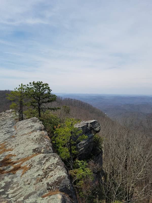 Bad Branch State Nature Preserve - Image 1