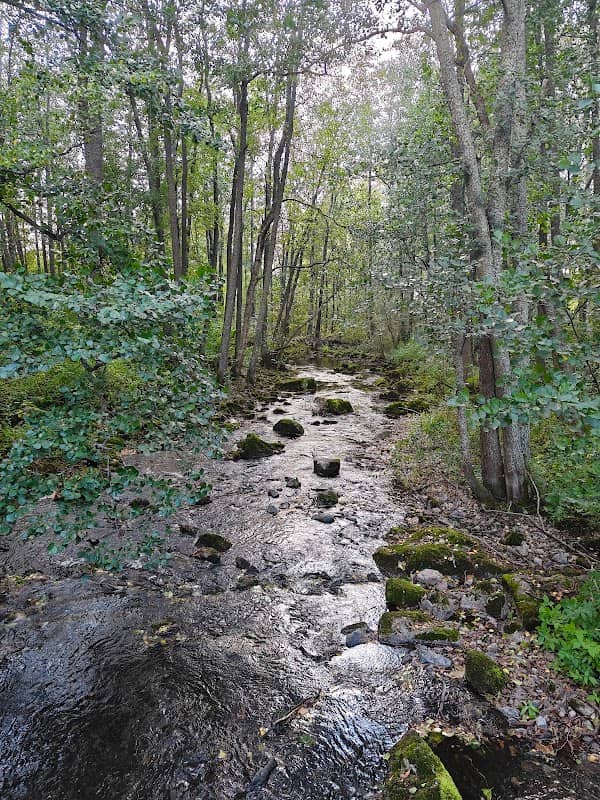 Kämärinkoski Rapids - Image 2