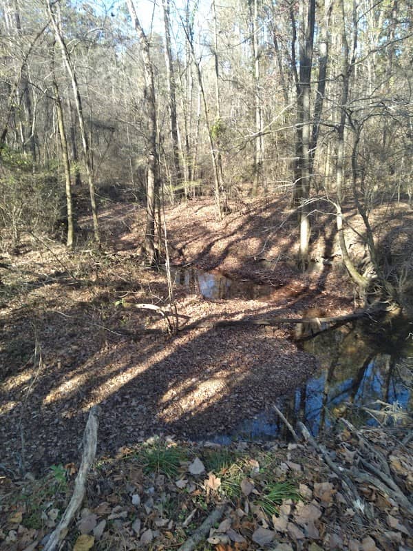 Mark Twain National Forest Supervisor's Office - Image 2