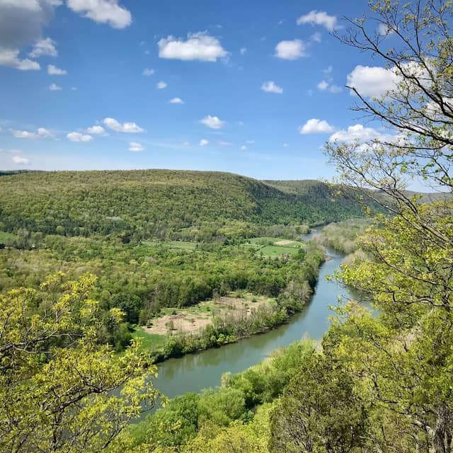 Tanglewood Nature Center - Image 1