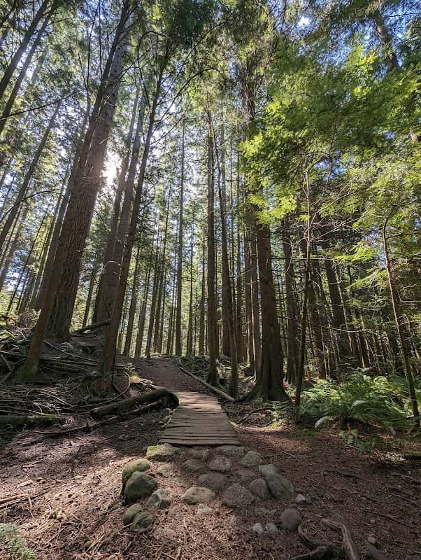 Saunders Trail - Image 1