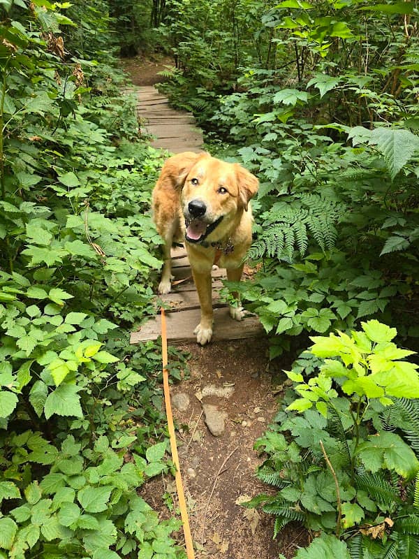Saunders Trail - Image 1