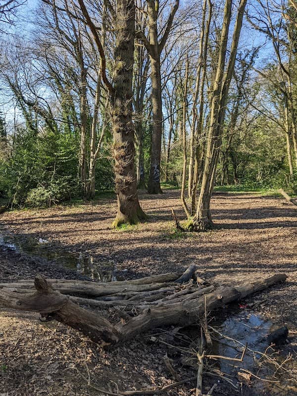 Broadfield Brook Wetlands - Image 2