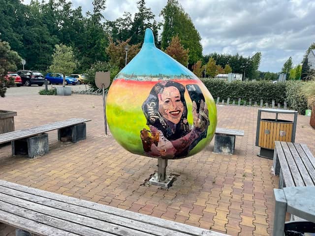 Reuzenbol "smile" - Image 2