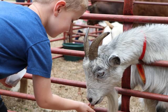 Barefoot Creek Farm - Image 1