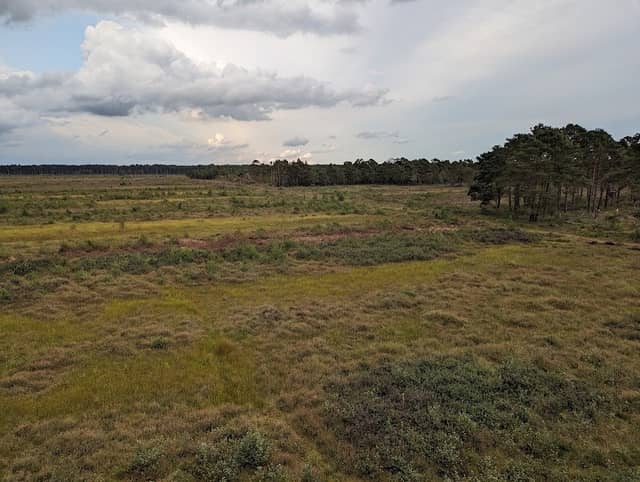 Bissendorfer Moor - Image 1