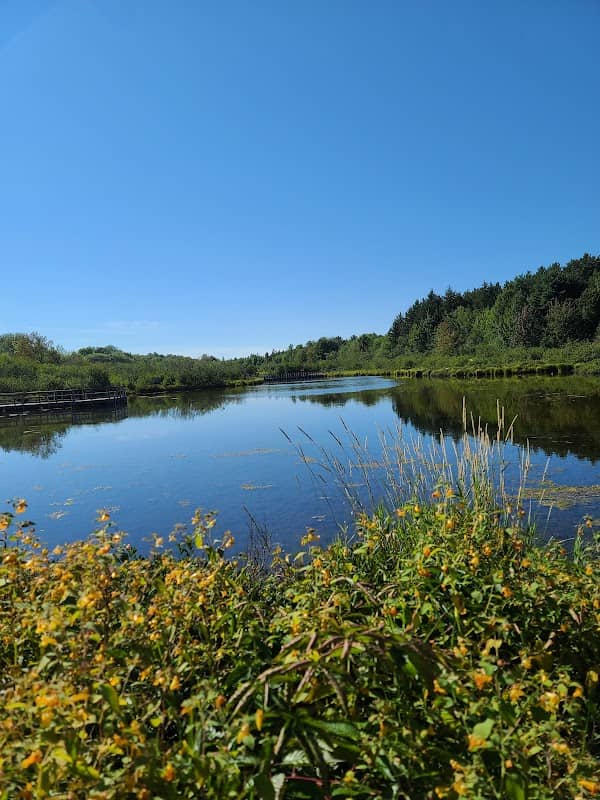 Robert McQuisten Recreation Area - Image 1