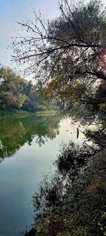 Národná prírodná rezervácia Tajba - Image 1