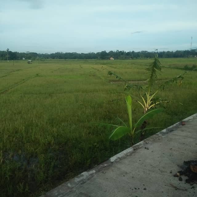 SUNSET VIEW - Image 1