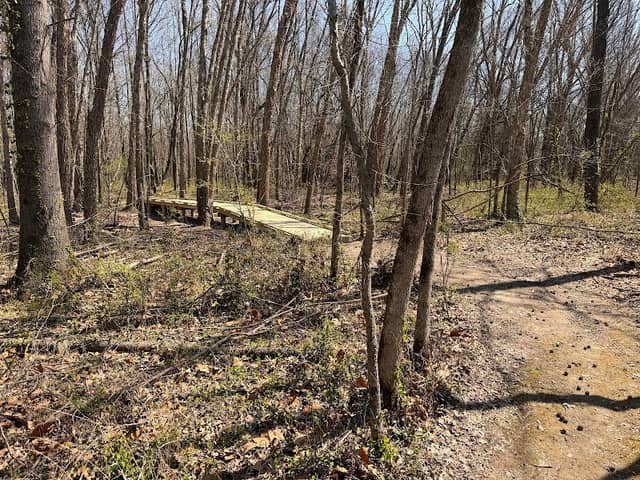 Green Earth - Pyles Fork Preserve (Attucks Park Trailhead) - Image 2