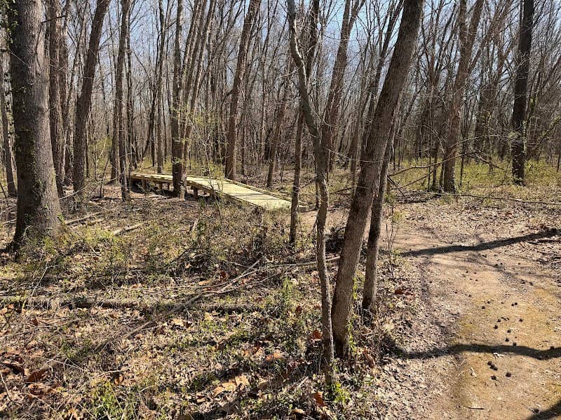 Green Earth - Pyles Fork Preserve (Attucks Park Trailhead) - Image 2