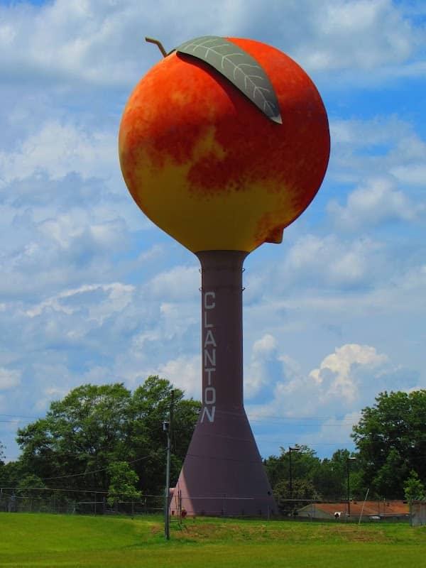 Big Peach Water Tower EXIT 212 - Image 2