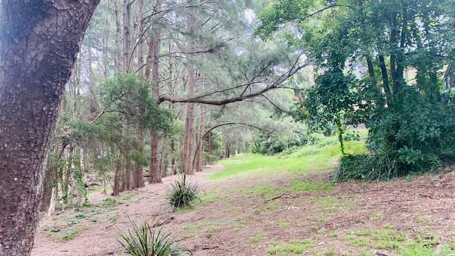 Harvey Dixon Park - Image 3