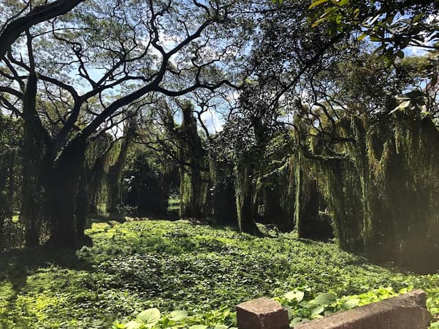 Isla Josefina - Image 1