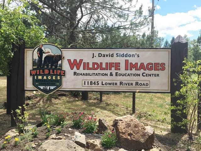 Wildlife Images Rehabilitation and Education Center - Image 2