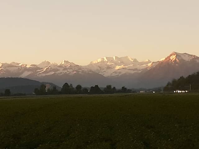 Schützenrüti Wanderweg - Image 2