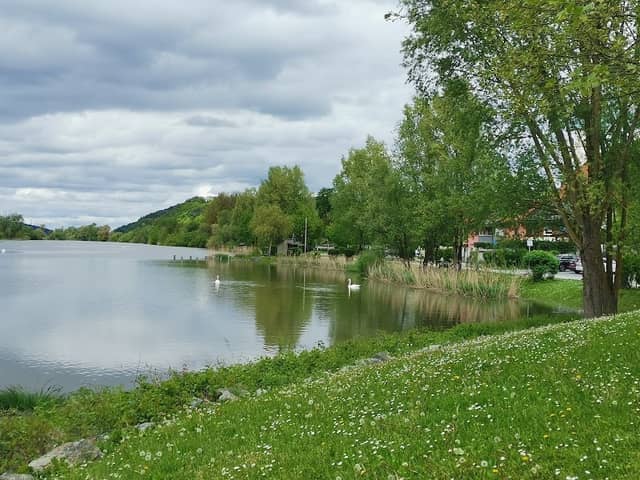 Donauinsel Windorf - Image 1