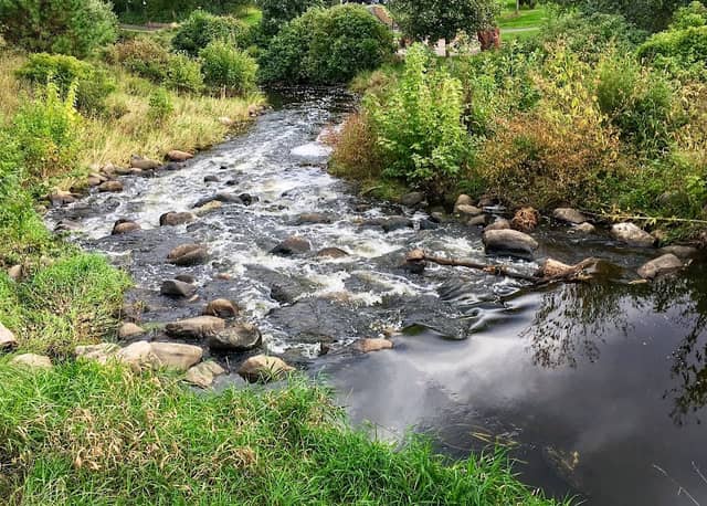 Village Creek Park - Image 2