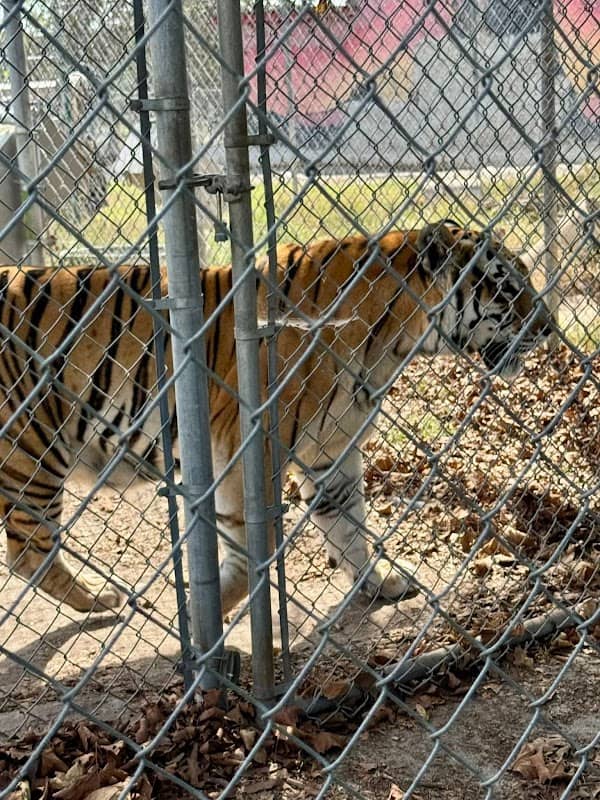 Aloha Zoo - Image 1