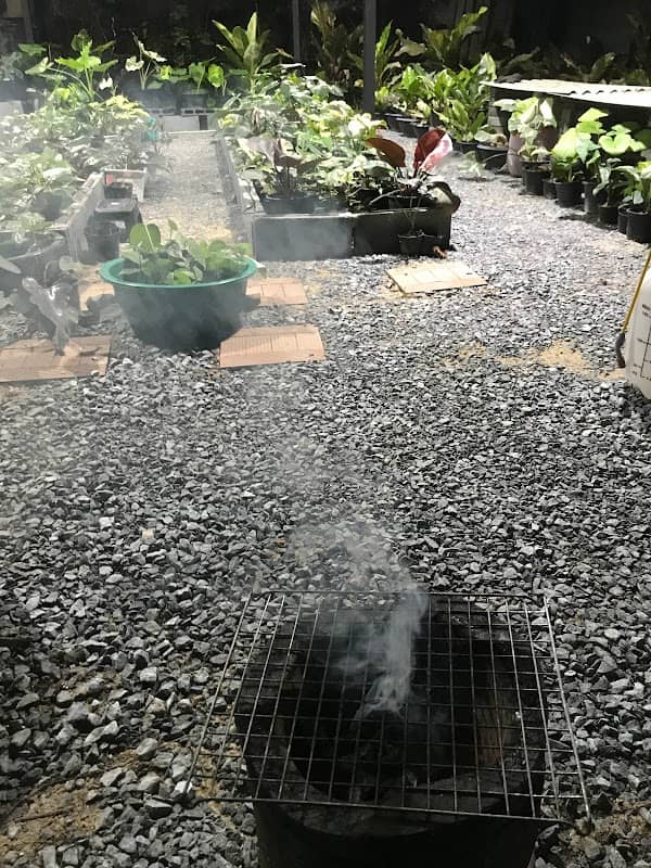 Minaa garden - Image 2