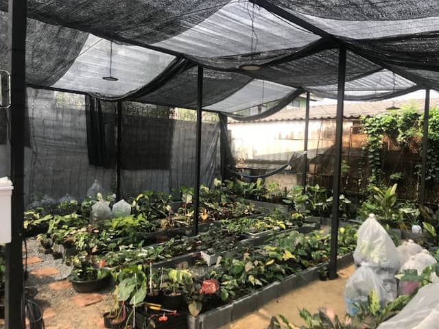 Minaa garden - Image 1