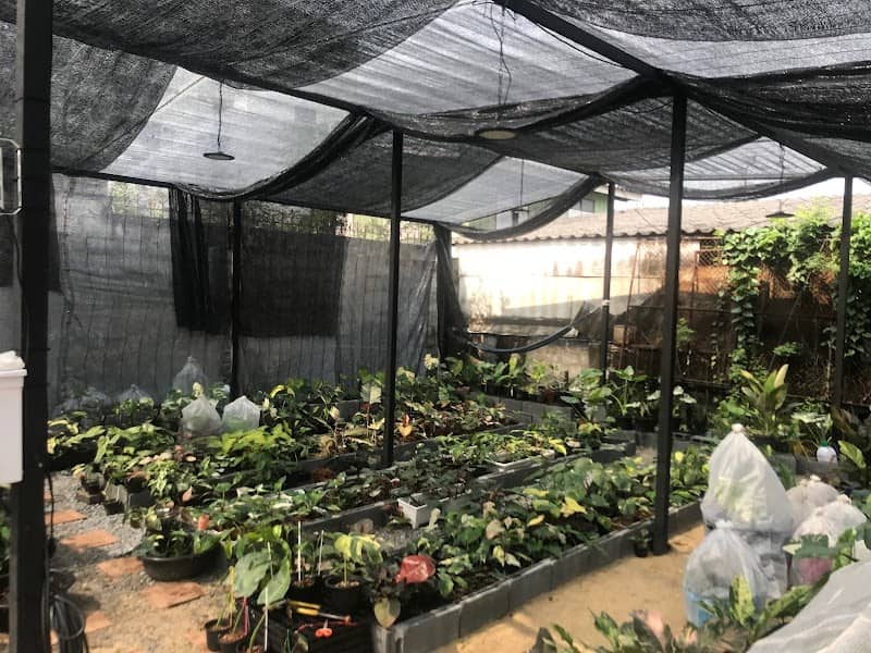 Minaa garden - Image 1
