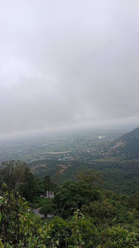 View point - Image 1