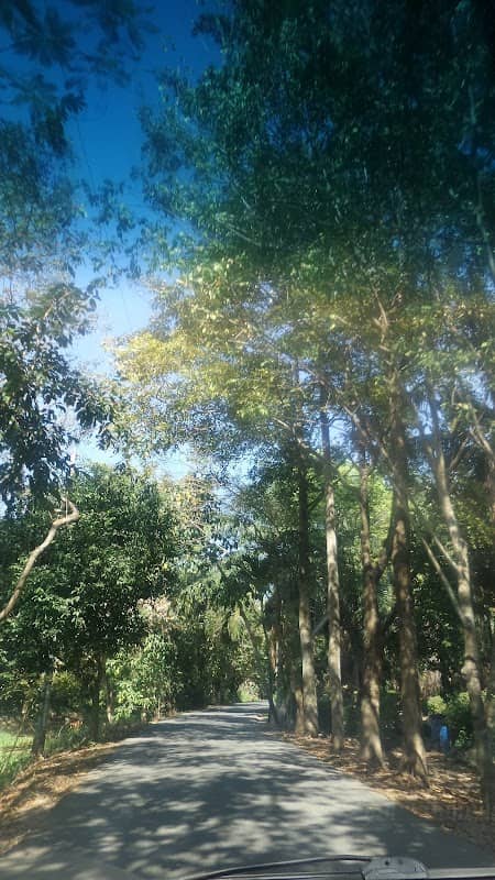 Bhumirak Chaloemphrakiat Park - Image 1